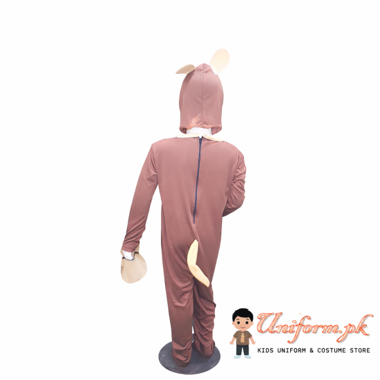 Brown Bear Costume For Kids Buy Online In Pakistan