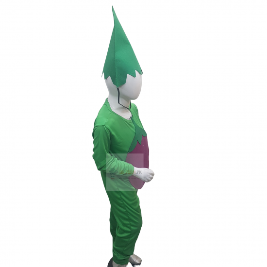 Brinjal Costume For Kids Vegetables Kids Costume Buy Online In Pakistan