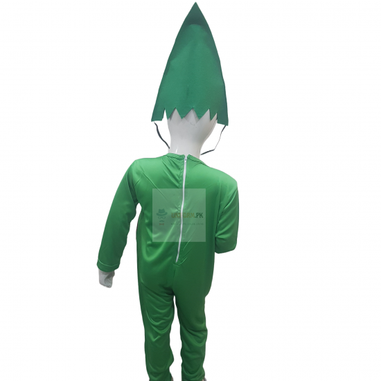 Brinjal Costume For Kids Vegetables Kids Costume Buy Online In Pakistan