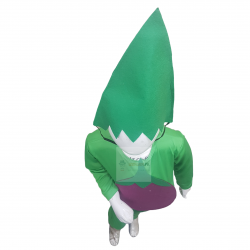 Brinjal Costume For Kids Vegetables Kids Costume Buy Online In Pakistan