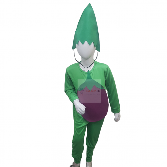 Brinjal Costume For Kids Vegetables Kids Costume Buy Online In Pakistan