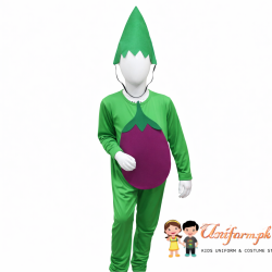 Brinjal Costume For Kids Vegetables Kids Costume Buy Online In Pakistan