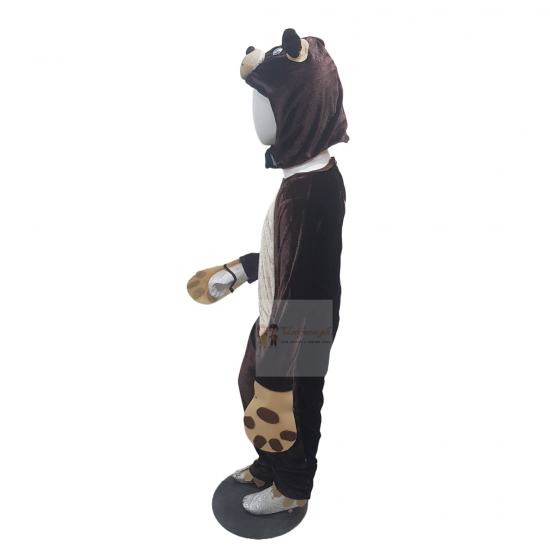 Brown Bear Costume For Kids Buy Online In Pakistan