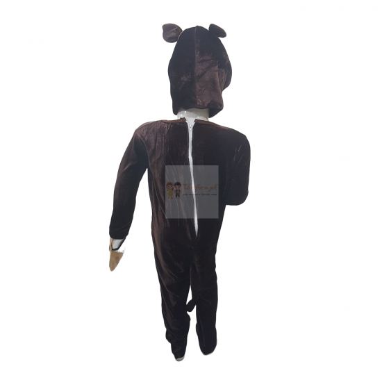Brown Bear Costume For Kids Buy Online In Pakistan