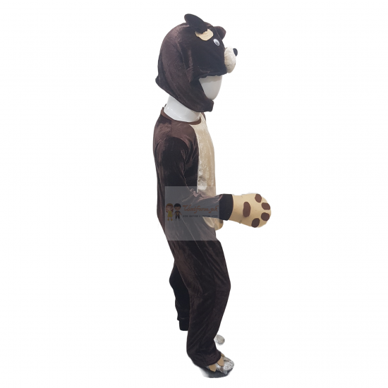 Brown Bear Costume For Kids Buy Online In Pakistan