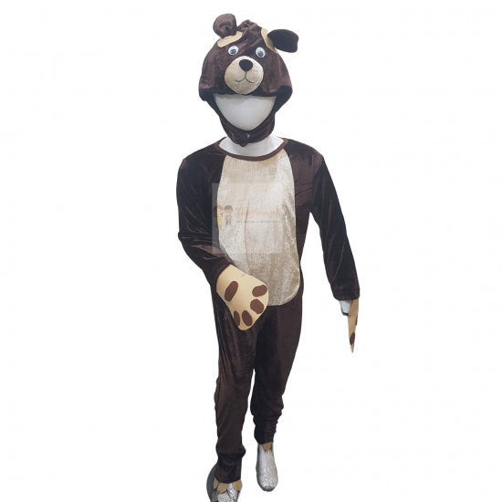 Brown Bear Costume For Kids Buy Online In Pakistan