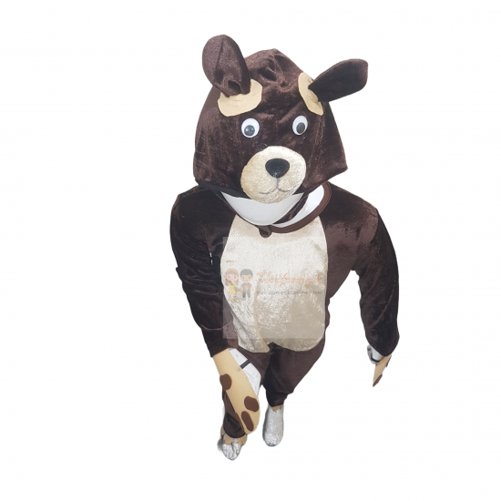 Brown Bear Costume For Kids Buy Online In Pakistan
