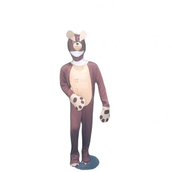 Brown Bear Costume For Kids Buy Online In Pakistan