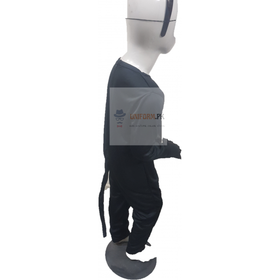 Cat Noir Costume For Kids Buy Online In Pakistan