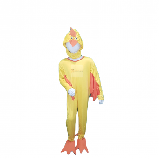 Chick Costume For Kids Buy Online In Pakistan