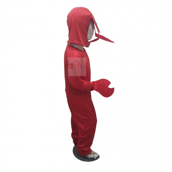 Crab Costume For Kids Buy Online In Pakistan