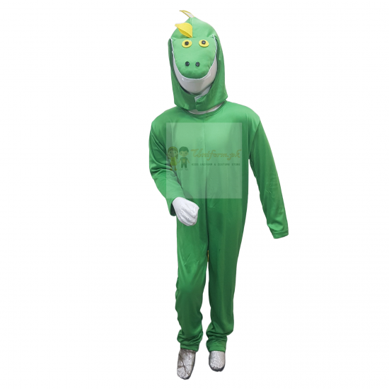 Dinosaur Costume For Kids Buy Online In Pakistan