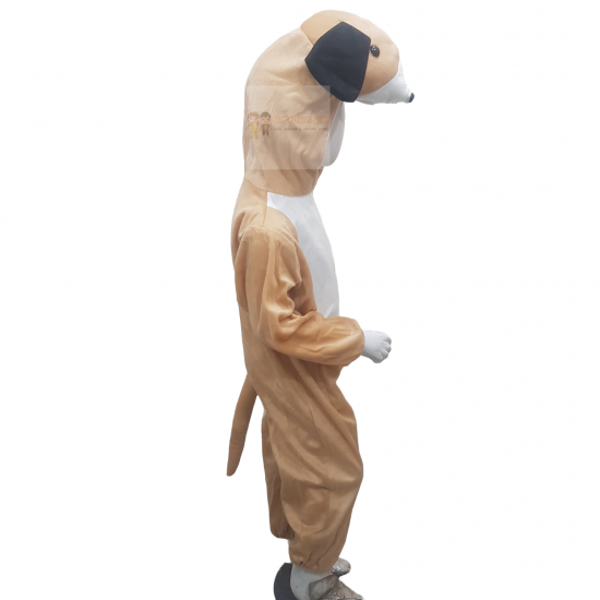 Dog Costume For Kids Buy Online In Pakistan