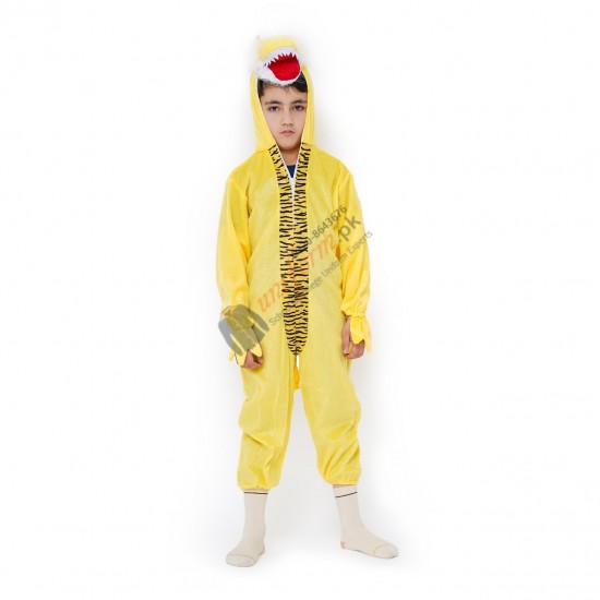 Dragon Costume For Kids Buy Online In Pakistan