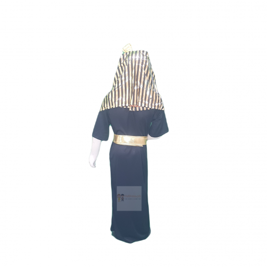 Egyptian Costume For Kids Pharaoh Dress Buy Online In Pakistan