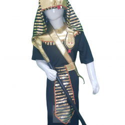 Egyptian Costume For Kids Pharaoh Dress Buy Online In Pakistan