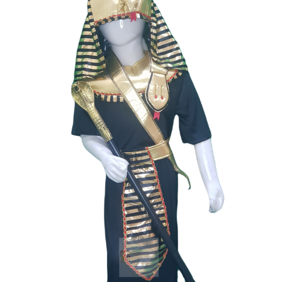 Egyptian Costume For Kids Pharaoh Dress Buy Online In Pakistan