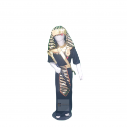 Egyptian Costume For Kids Pharaoh Dress Buy Online In Pakistan