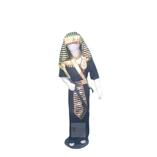 Egyptian Costume For Kids Pharaoh Dress Buy Online In Pakistan