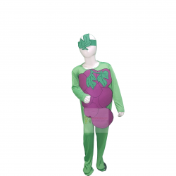 Grapes Costume For Kids Fruits Costume Kids Buy Online In Pakistan