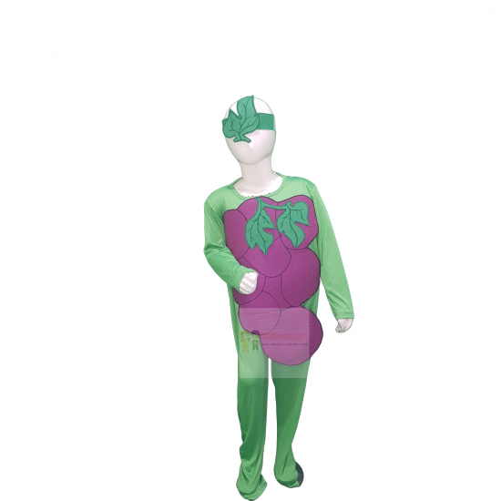 Grapes Costume For Kids Fruits Costume Kids Buy Online In Pakistan