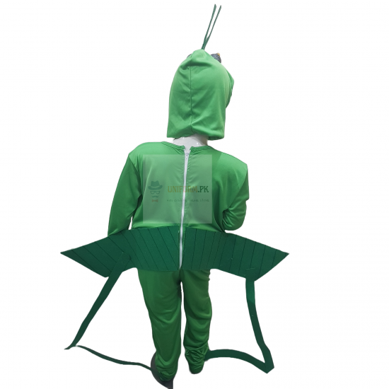 Grasshopper Costume For Kids Buy Online In Pakistan