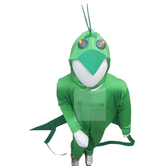 Grasshopper Costume For Kids Buy Online In Pakistan