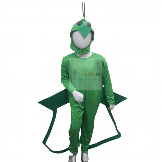 Grasshopper Costume For Kids Buy Online In Pakistan