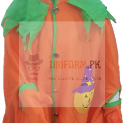 Halloween Pumpkin Costume For Kids Buy Online In Pakistan