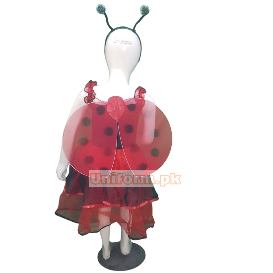 LadyBug Frock Costume Buy Online In Pakistan