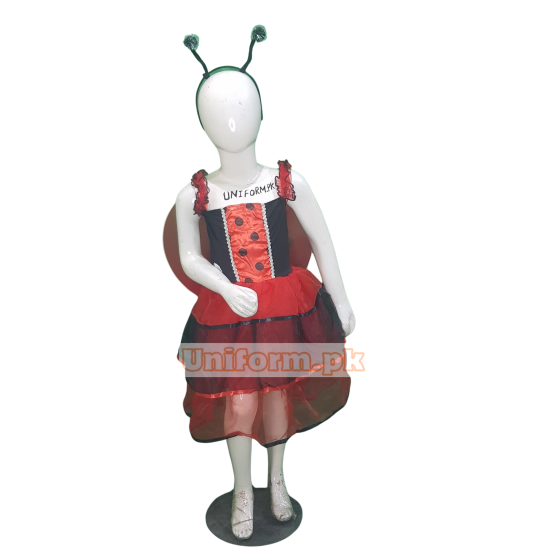 LadyBug Frock Costume Buy Online In Pakistan