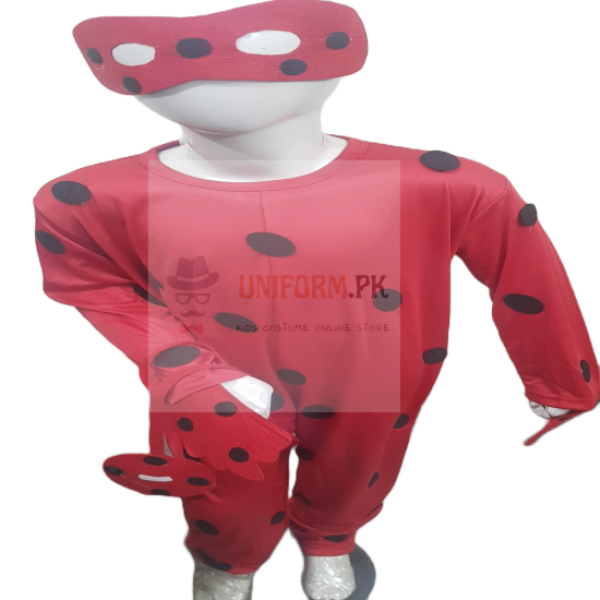 Ladybug Costume For Girls In Pakistan Miraculous Ladybug Costume In Pakistan Buy Online In Best Price
