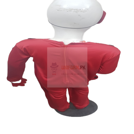 Ladybug Costume For Girls In Pakistan Miraculous Ladybug Costume In Pakistan Buy Online In Best Price