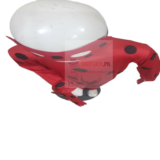 Ladybug Costume For Girls In Pakistan Miraculous Ladybug Costume In Pakistan Buy Online In Best Price