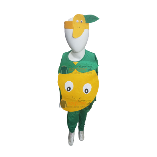 Mango Costume For Kids Fruits Costume Kids Buy Online In Pakistan