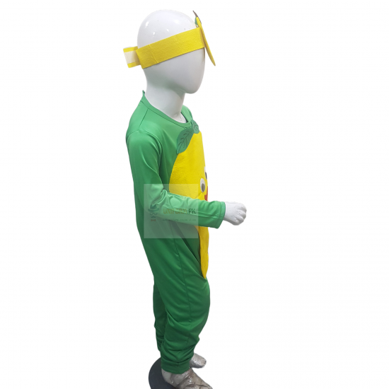 Mango Costume For Kids Fruits Costume Kids Buy Online In Pakistan