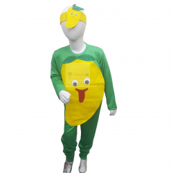 Mango Costume For Kids Fruits Costume Kids Buy Online In Pakistan