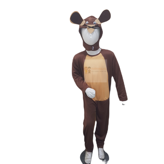 Brown Mouse Costume For Kids Buy Online In Pakistan