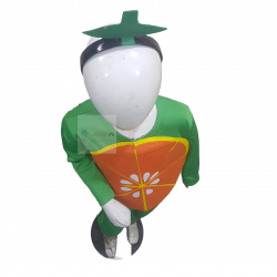 Orange Costume For Kids Fruits Costume Kids Buy Online In Pakistan