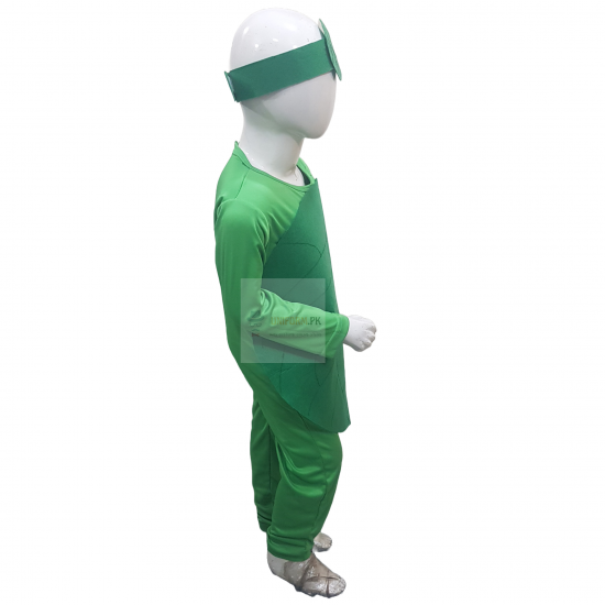 Spinach Costume For Kids Vegetables Kids Costume Buy Online In Pakistan