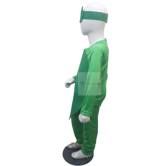 Spinach Costume For Kids Vegetables Kids Costume Buy Online In Pakistan