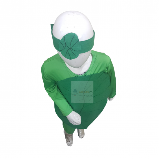 Spinach Costume For Kids Vegetables Kids Costume Buy Online In Pakistan