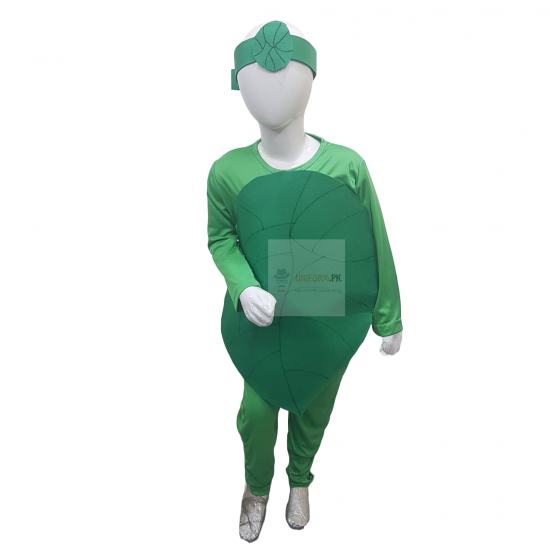 Spinach Costume For Kids Vegetables Kids Costume Buy Online In Pakistan