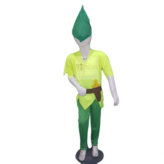 Peter Pan Costume For Kids Buy Online In Pakistan