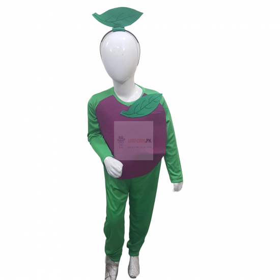 Plum Costume For Kids Fruits Costume Kids Buy Online In Pakistan