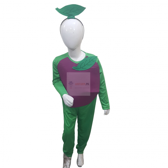 Plum Costume For Kids Fruits Costume Kids Buy Online In Pakistan