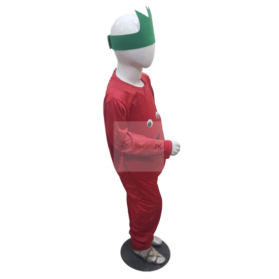 Pomegranate Costume For Kids Fruits Costume Buy Online In Pakistan