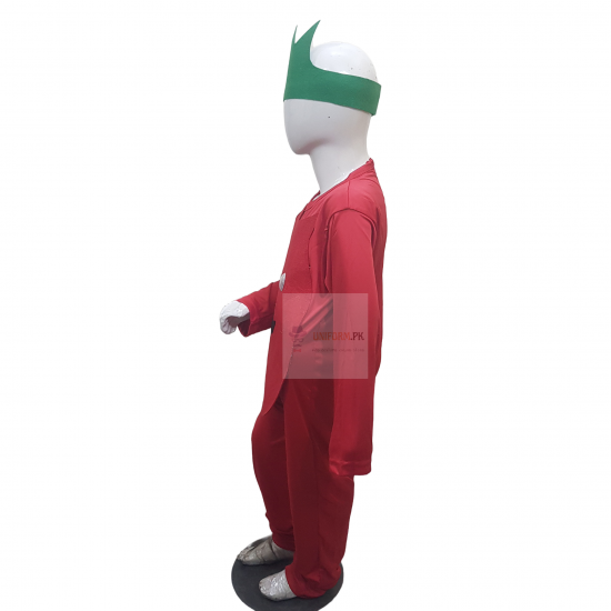 Pomegranate Costume For Kids Fruits Costume Buy Online In Pakistan