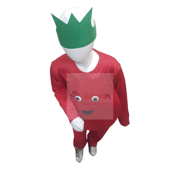 Pomegranate Costume For Kids Fruits Costume Buy Online In Pakistan