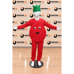 Pomegranate Costume For Kids Fruits Costume Buy Online In Pakistan